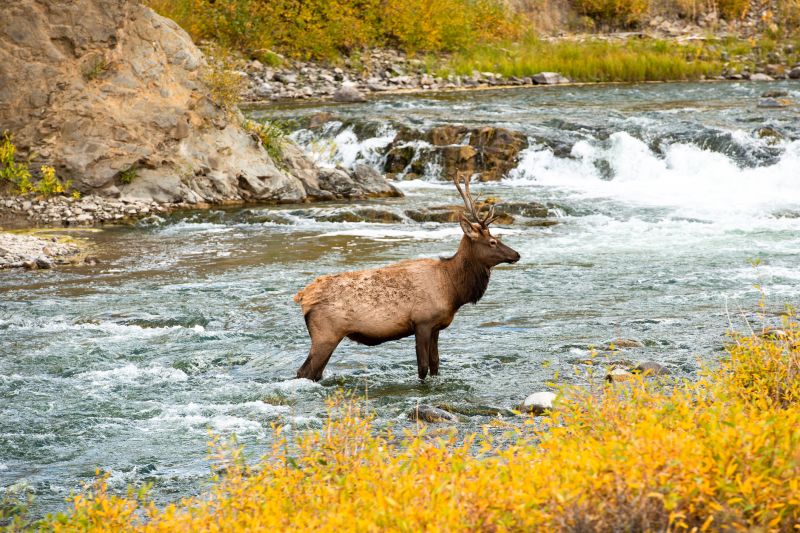 Best Concrete Foundation Repair pros in Elk River, MN